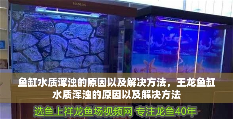 魚缸水質渾濁的原因以及解決方法，王龍魚缸水質渾濁的原因以及解決方法