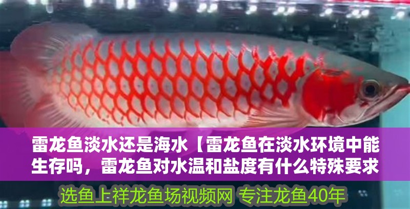 雷龍魚淡水還是海水【雷龍魚在淡水環境中能生存嗎，雷龍魚對水溫和鹽度有什么特殊要求】