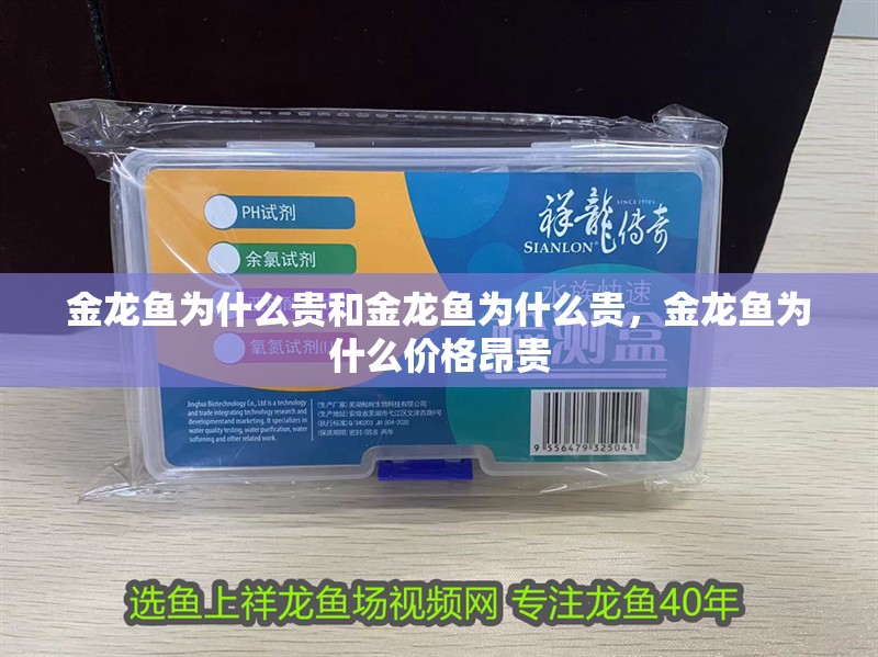 金龍魚為什么貴和金龍魚為什么貴，金龍魚為什么價格昂貴