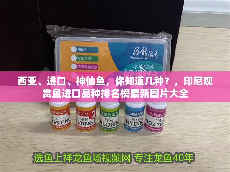 西亞、進口、神仙魚，你知道幾種？，印尼觀賞魚進口品種排名榜最新圖片大全