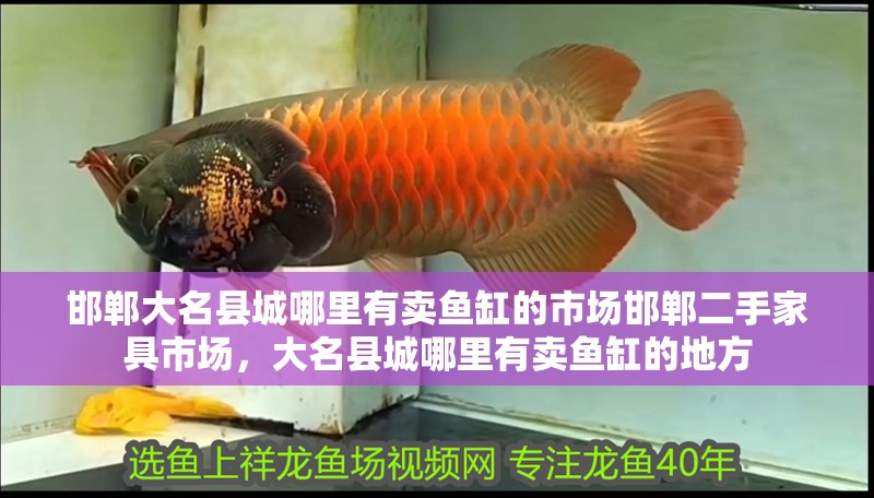 邯鄲大名縣城哪里有賣魚缸的市場邯鄲二手家具市場，大名縣城哪里有賣魚缸的地方