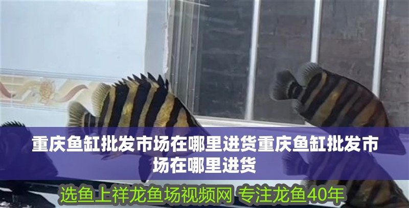 重慶魚缸批發市場在哪里進貨重慶魚缸批發市場在哪里進貨