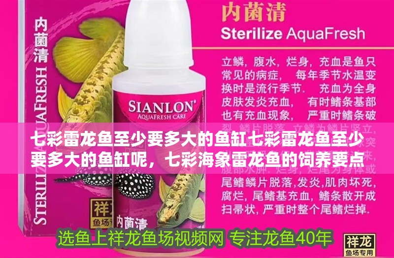 七彩雷龍魚至少要多大的魚缸七彩雷龍魚至少要多大的魚缸呢，七彩海象雷龍魚的飼養要點
