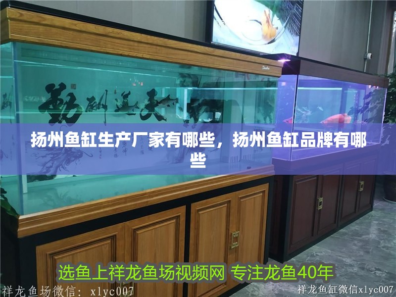 揚州魚缸生產廠家有哪些，揚州魚缸品牌有哪些