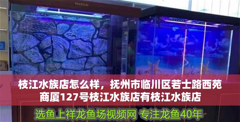 枝江水族店怎么樣，撫州市臨川區若士路西苑商廈127號枝江水族店有枝江水族店
