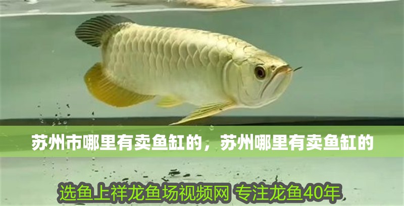 蘇州市哪里有賣魚缸的，蘇州哪里有賣魚缸的