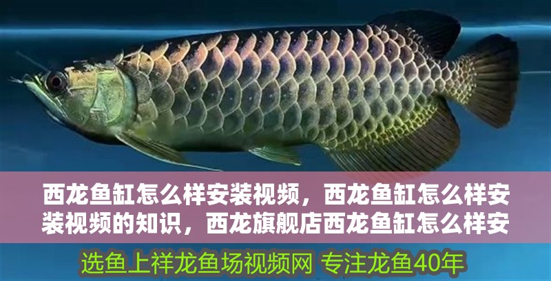 西龍魚(yú)缸怎么樣安裝視頻，西龍魚(yú)缸怎么樣安裝視頻的知識(shí)，西龍旗艦店西龍魚(yú)缸怎么樣安裝視頻