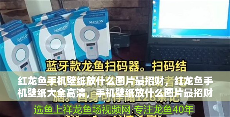 紅龍魚手機壁紙放什么圖片最招財，紅龍魚手機壁紙大全高清，手機壁紙放什么圖片最招財