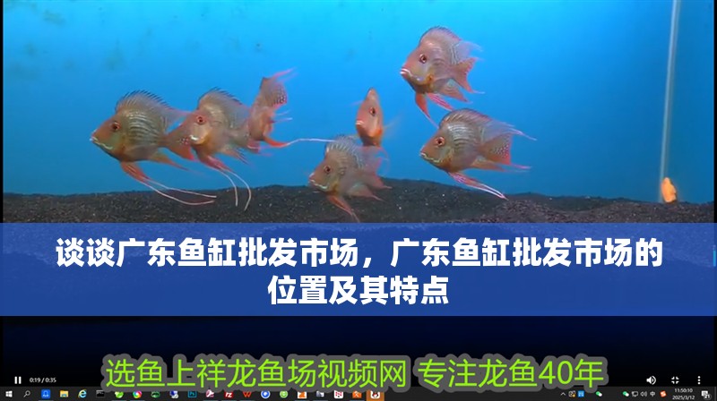 談?wù)剰V東魚缸批發(fā)市場，廣東魚缸批發(fā)市場的位置及其特點