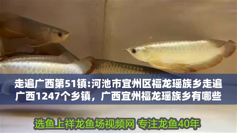 走遍廣西第51鎮(zhèn):河池市宜州區(qū)福龍瑤族鄉(xiāng)走遍廣西1247個鄉(xiāng)鎮(zhèn)，廣西宜州福龍瑤族鄉(xiāng)有哪些著名的旅游景點