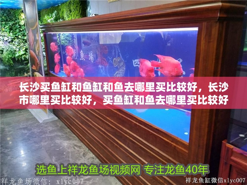 長沙買魚缸和魚缸和魚去哪里買比較好，長沙市哪里買比較好，買魚缸和魚去哪里買比較好