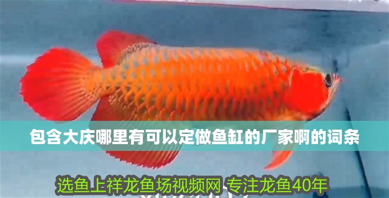 包含大慶哪里有可以定做魚缸的廠家啊的詞條
