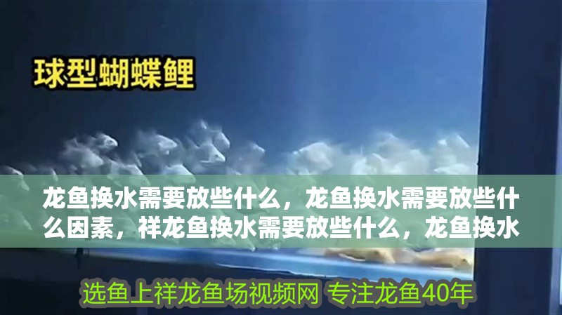 龍魚換水需要放些什么，龍魚換水需要放些什么因素，祥龍魚換水需要放些什么，龍魚換水需要放些什么因素