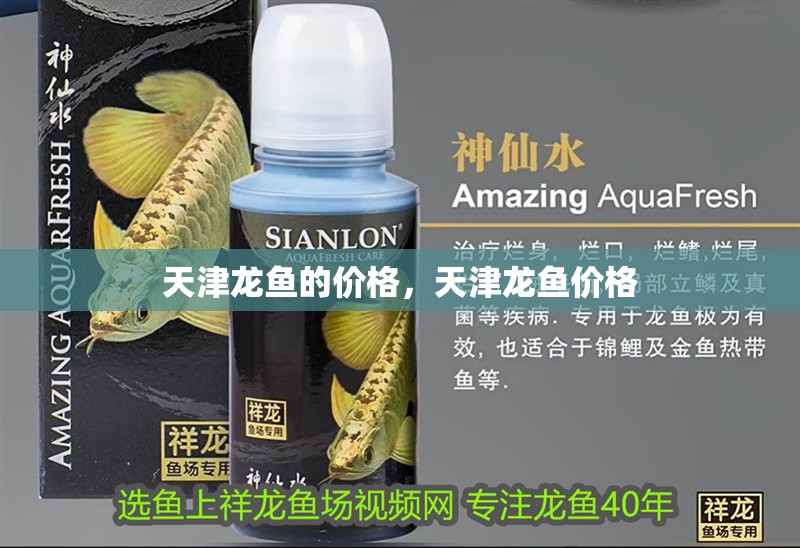 天津龍魚的價格，天津龍魚價格