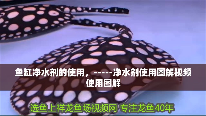 魚缸凈水劑的使用，-----凈水劑使用圖解視頻使用圖解