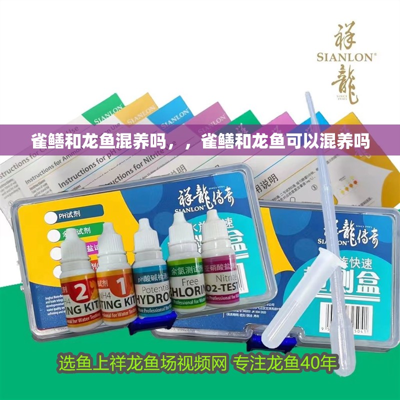 雀鱔和龍魚混養嗎，，雀鱔和龍魚可以混養嗎