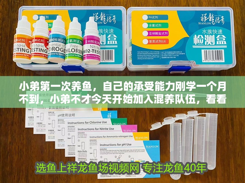 小弟第一次養魚，自己的承受能力剛學一個月不到，小弟不才今天開始加入混養隊伍，看看自己的承受極限到底多深