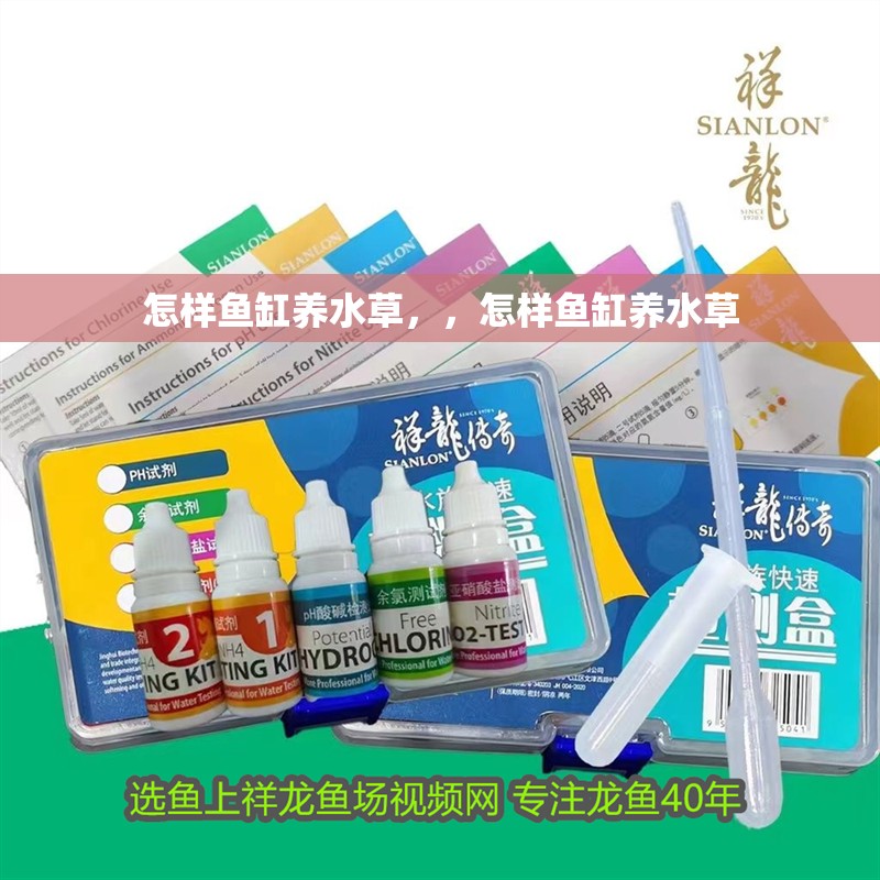 怎樣魚缸養水草，，怎樣魚缸養水草