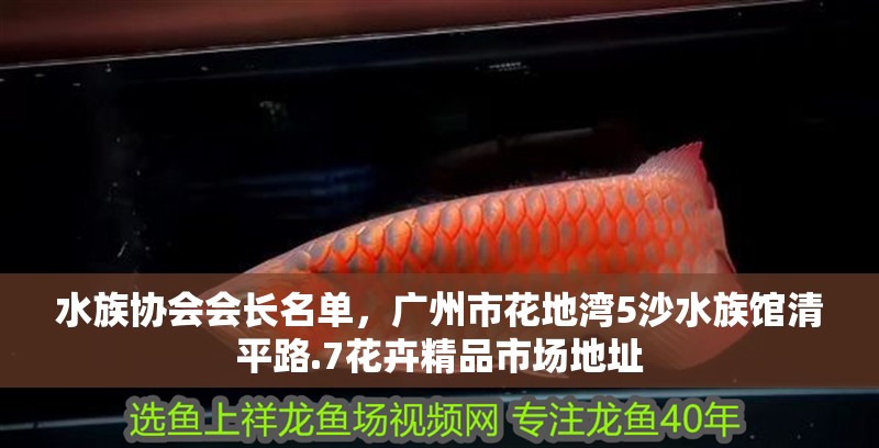 水族協會會長名單，廣州市花地灣5沙水族館清平路.7花卉精品市場地址