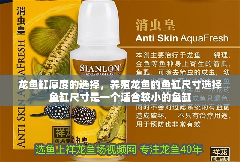 龍魚缸厚度的選擇，養殖龍魚的魚缸尺寸選擇魚缸尺寸是一個適合較小的魚缸