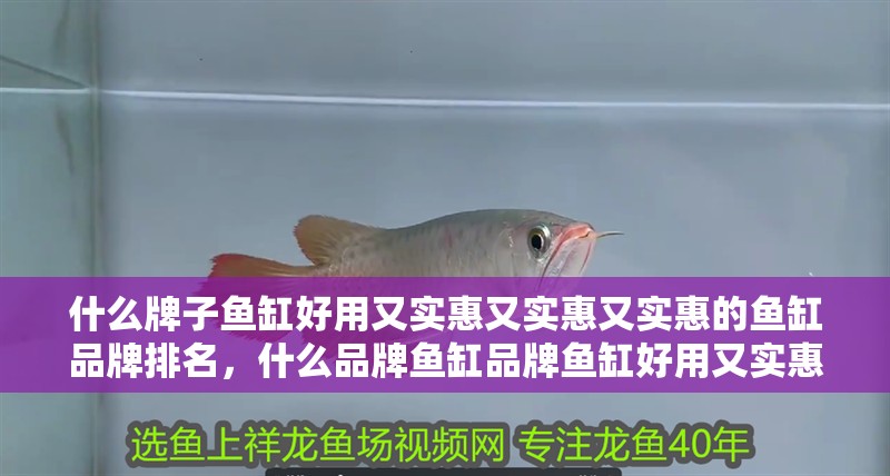 什么牌子魚缸好用又實惠又實惠又實惠的魚缸品牌排名，什么品牌魚缸品牌魚缸好用又實惠又實惠又實惠又實惠