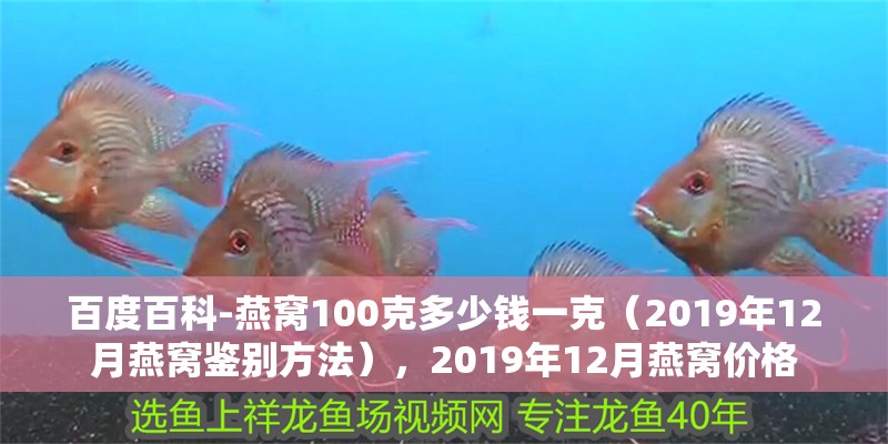 百度百科-燕窩100克多少錢(qián)一克（2019年12月燕窩鑒別方法），2019年12月燕窩價(jià)格