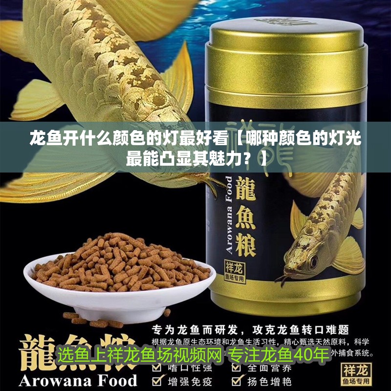 龍魚開什么顏色的燈最好看【哪種顏色的燈光最能凸顯其魅力？】