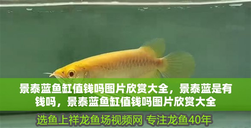 景泰藍魚缸值錢嗎圖片欣賞大全，景泰藍是有錢嗎，景泰藍魚缸值錢嗎圖片欣賞大全