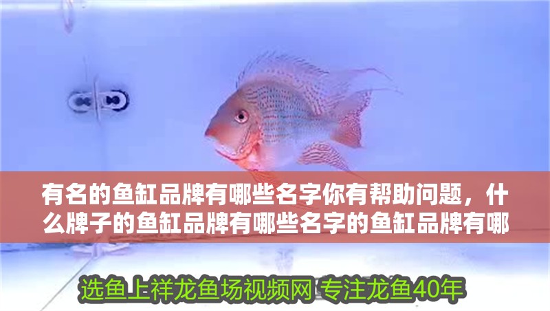 有名的魚缸品牌有哪些名字你有幫助問題，什么牌子的魚缸品牌有哪些名字的魚缸品牌有哪些名字