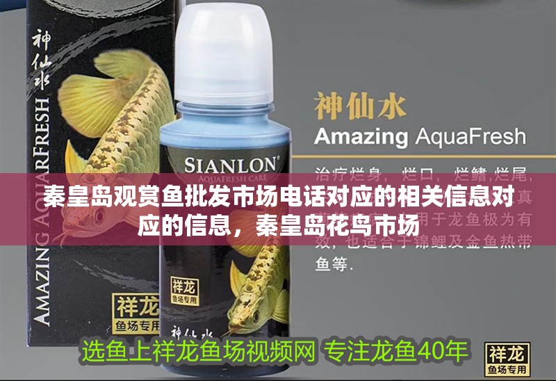 秦皇島觀賞魚批發市場電話對應的相關信息對應的信息，秦皇島花鳥市場