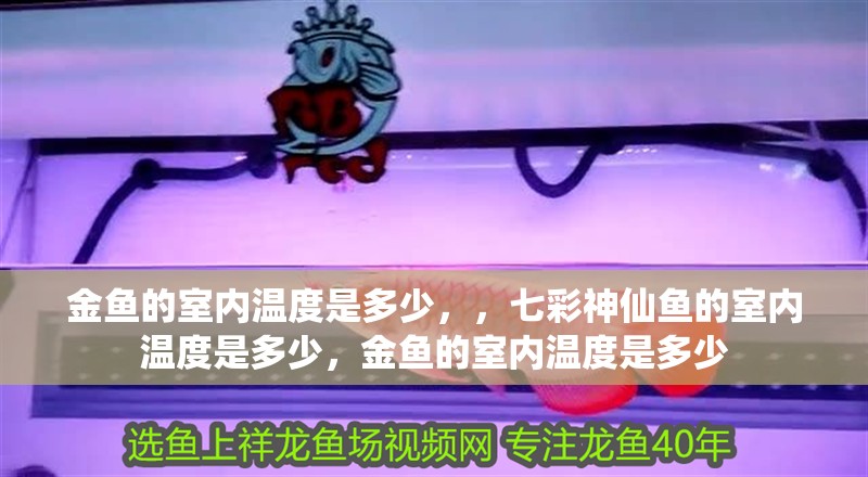 金魚的室內溫度是多少，，七彩神仙魚的室內溫度是多少，金魚的室內溫度是多少