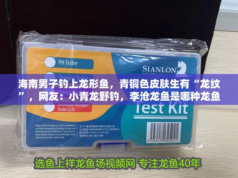 海南男子釣上龍形魚，青銅色皮膚生有“龍紋”，網友：小青龍野釣，李滄龍魚是哪種龍魚的俗稱？