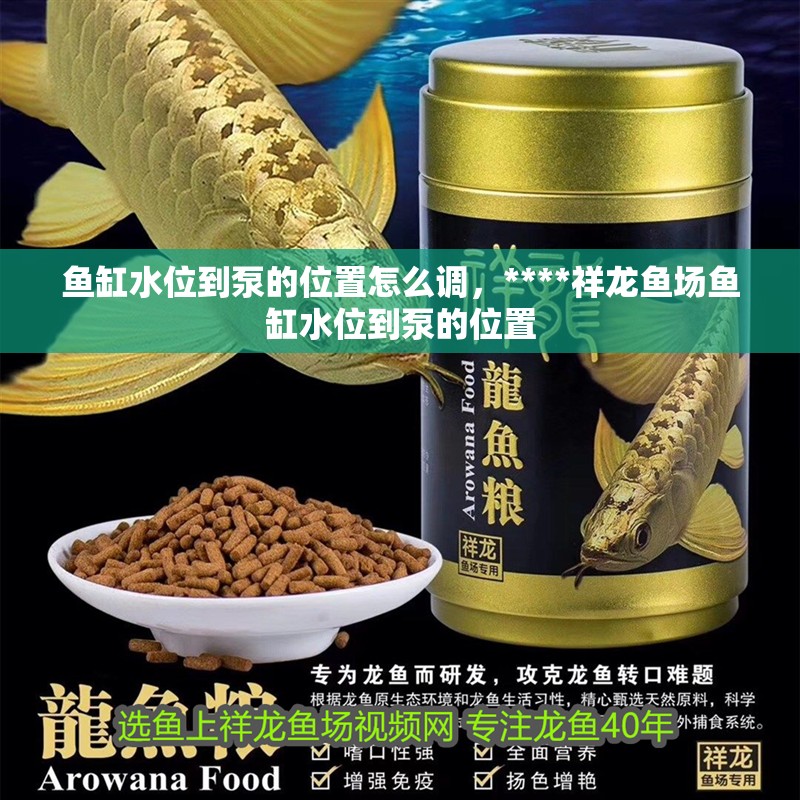 魚缸水位到泵的位置怎么調(diào)，****祥龍魚場(chǎng)魚缸水位到泵的位置