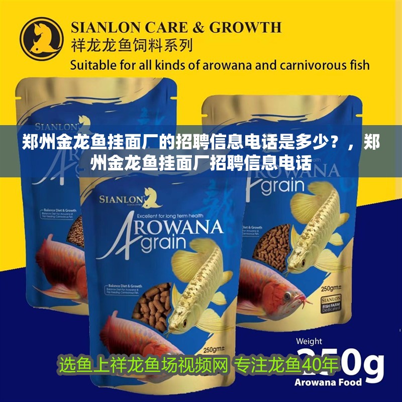 鄭州金龍魚掛面廠的招聘信息電話是多少？，鄭州金龍魚掛面廠招聘信息電話
