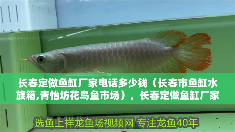 長春定做魚缸廠家電話多少錢（長春市魚缸水族箱,青怡坊花鳥魚市場），長春定做魚缸廠家電電話多少錢
