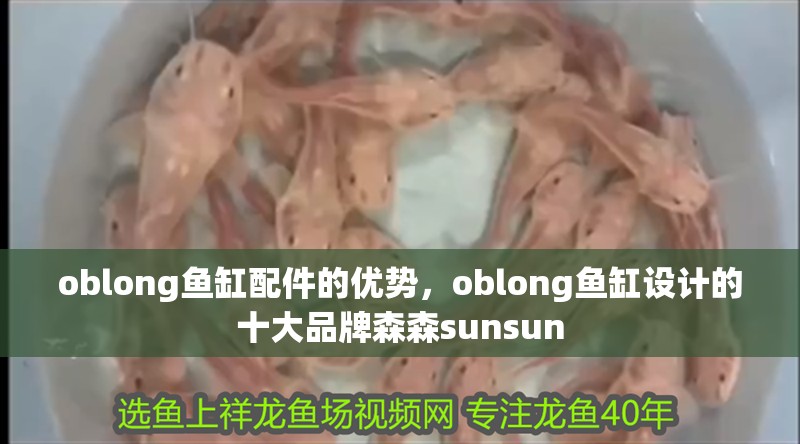 oblong魚缸配件的優(yōu)勢，oblong魚缸設(shè)計的十大品牌森森sunsun