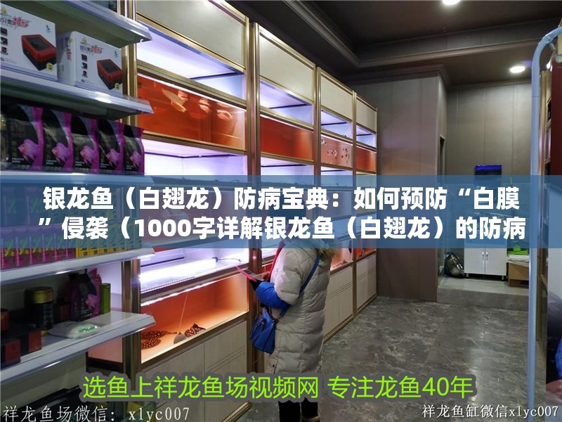 銀龍魚（白翅龍）防病寶典：如何預防“白膜”侵襲（1000字詳解銀龍魚（白翅龍）的防病寶典：如何預防“白膜”侵襲）