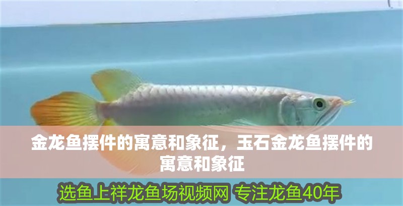 金龍魚擺件的寓意和象征，玉石金龍魚擺件的寓意和象征