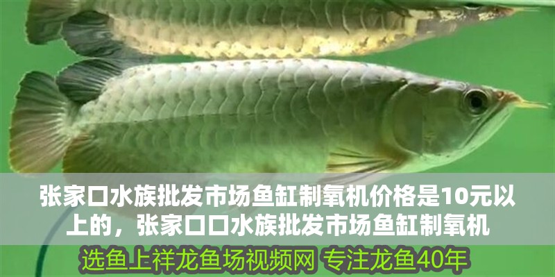 張家口水族批發市場魚缸制氧機價格是10元以上的，張家口口水族批發市場魚缸制氧機