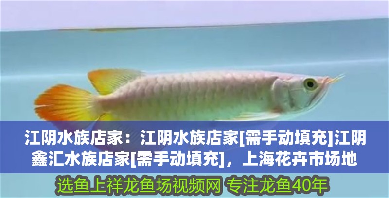 江陰水族店家：江陰水族店家[需手動填充]江陰鑫匯水族店家[需手動填充]，<strong><mark>上海</mark></strong>花卉市場地址