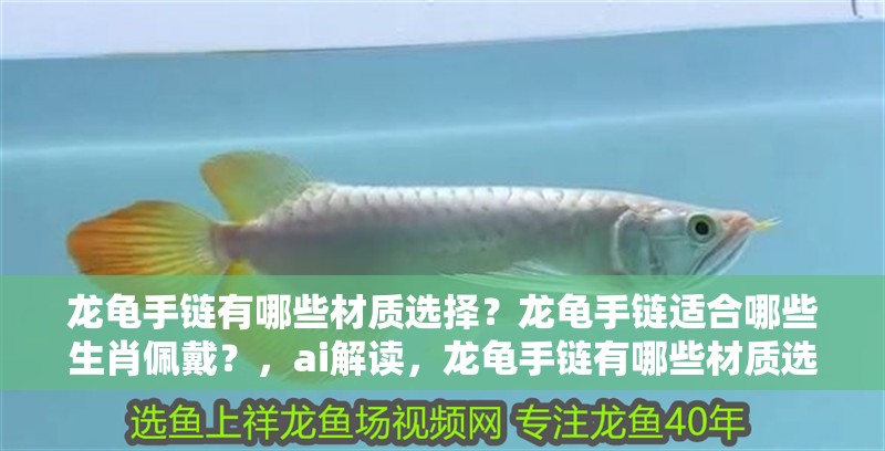 龍龜手鏈有哪些材質選擇？龍龜手鏈適合哪些生肖佩戴？，ai解讀，龍龜手鏈有哪些材質選擇？