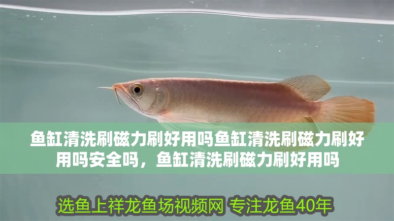 魚缸清洗刷磁力刷好用嗎魚缸清洗刷磁力刷好用嗎安全嗎，魚缸清洗刷磁力刷好用嗎
