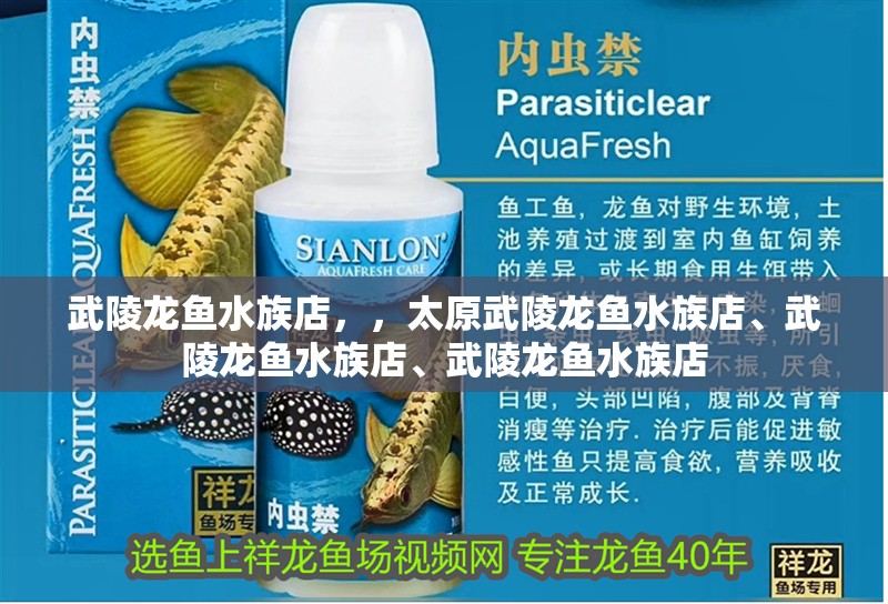 武陵龍魚水族店，，太原武陵龍魚水族店、武陵龍魚水族店、武陵龍魚水族店