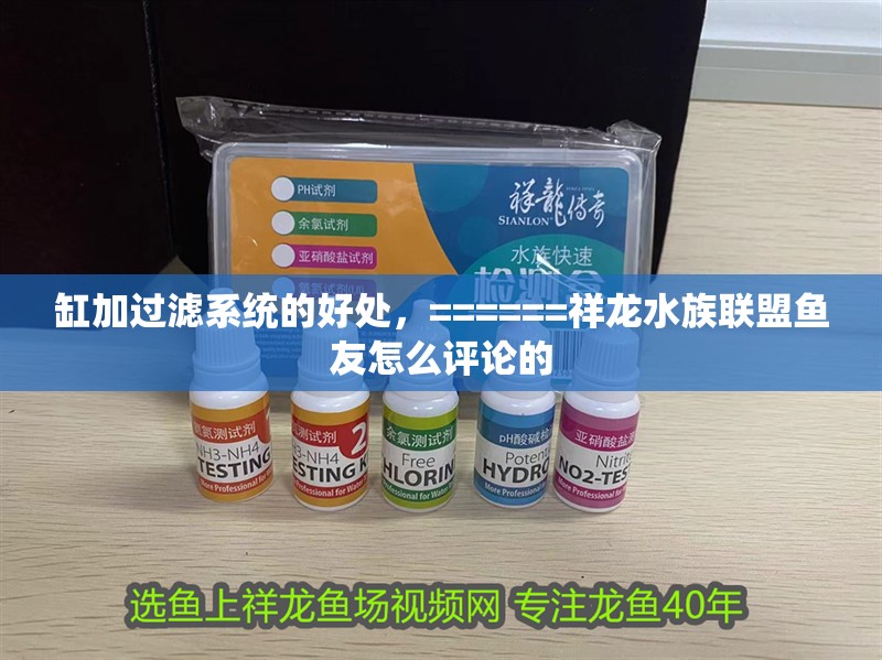 缸加過濾系統(tǒng)的好處，======祥龍水族聯(lián)盟魚友怎么評論的