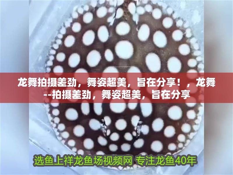 龍舞拍攝差勁，舞姿超美，旨在分享！，龍舞--拍攝差勁，舞姿超美，旨在分享