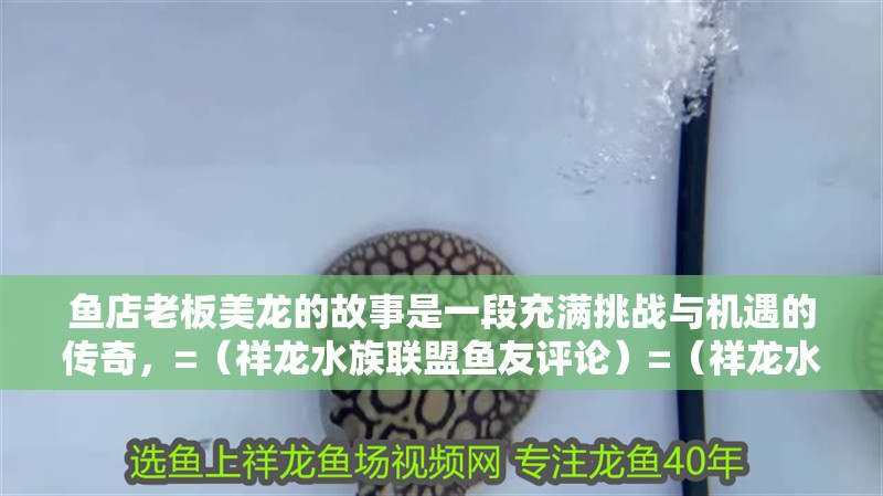 魚店老板美龍的故事是一段充滿挑戰與機遇的傳奇，=（祥龍水族聯盟魚友評論）=（祥龍水族聯盟魚友評論）