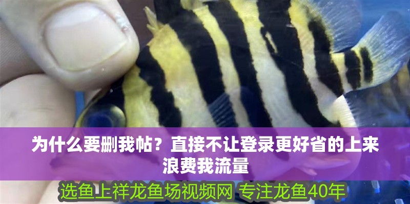 為什么要?jiǎng)h我帖？直接不讓登錄更好省的上來(lái)浪費(fèi)我流量