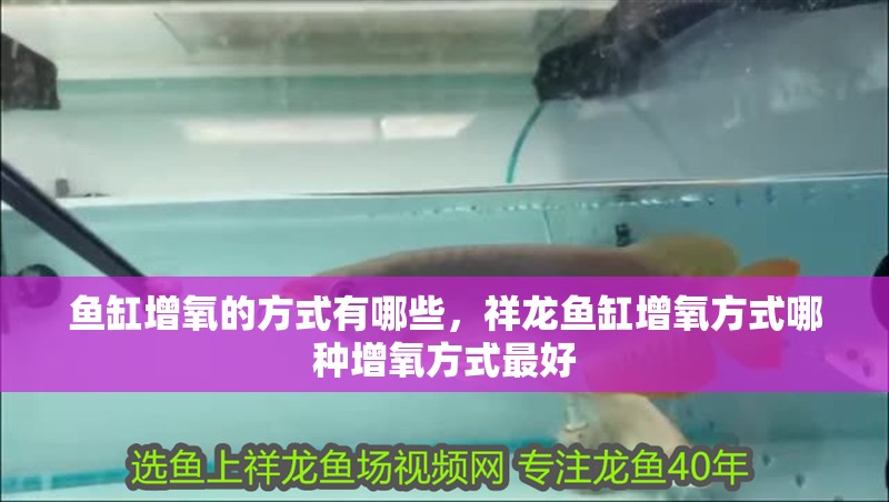 魚缸增氧的方式有哪些，祥龍魚缸增氧方式哪種增氧方式最好