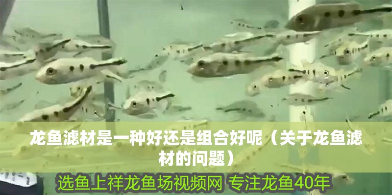 龍魚濾材是一種好還是組合好呢（關于龍魚濾材的問題）