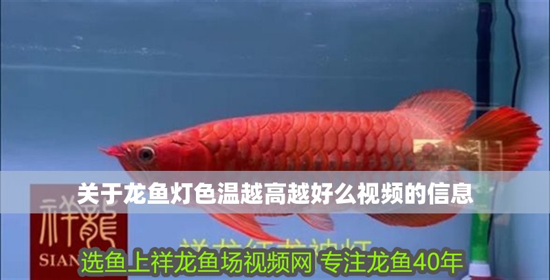 關(guān)于龍魚燈色溫越高越好么視頻的信息